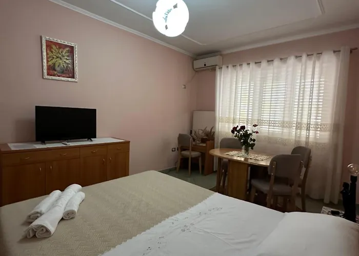 Insa Daily 地拉那